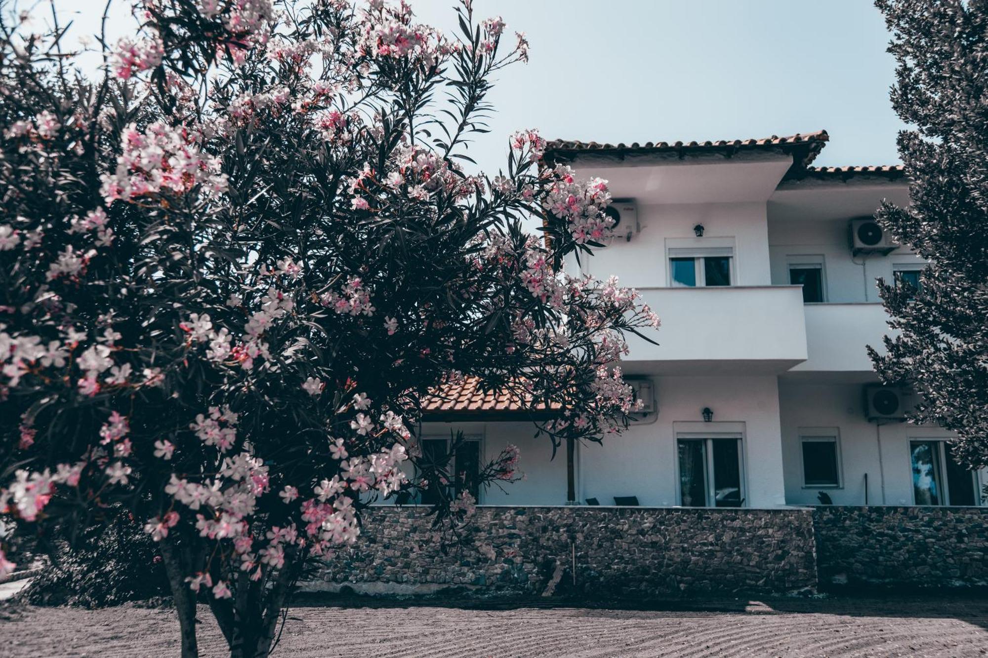 Villa Theano 2 Toroni Eksteriør billede